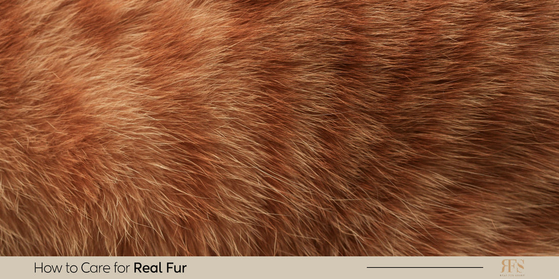 How to Care for Real Fur