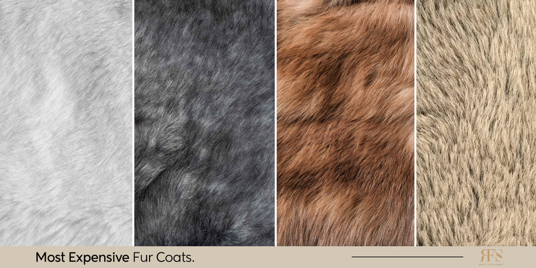 Most Expensive Fur Coats