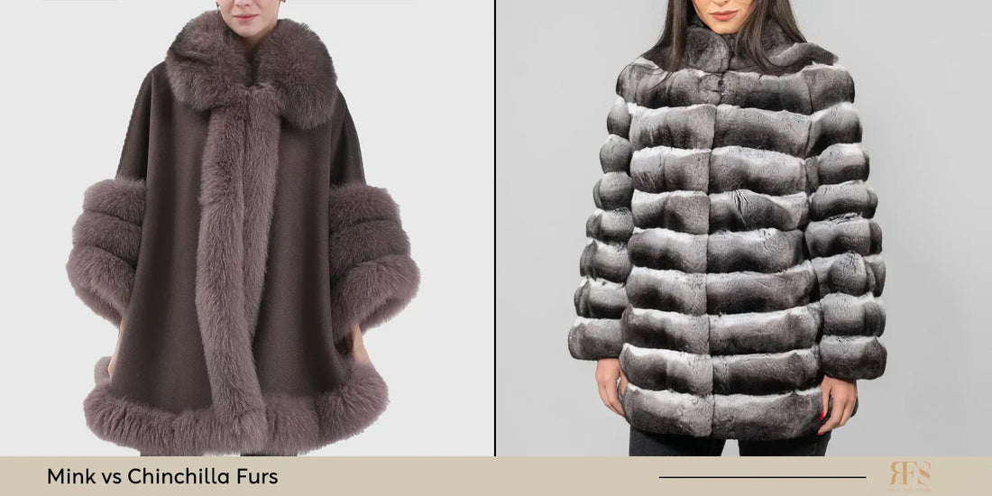 mink vs chinchilla